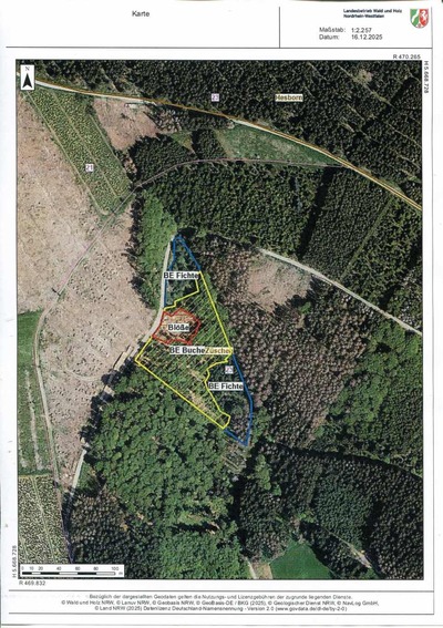 land- und forstwirtschaftlich genutztes Grundstück in Am alten Wege, 59955 Winterberg, Züschen - Bild 2