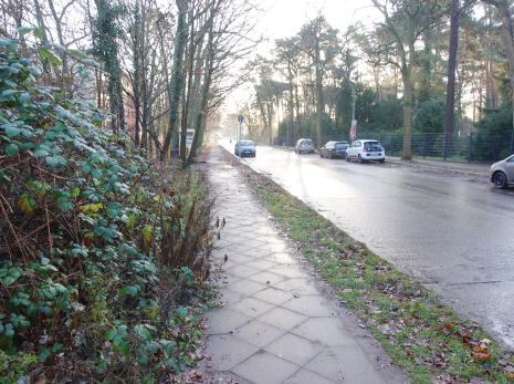 unbebautes Grundstück in Berlin - Bild 4