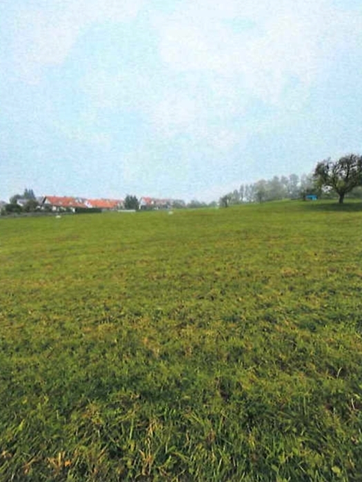 Wiesenfläche in Althütte - Bild 2