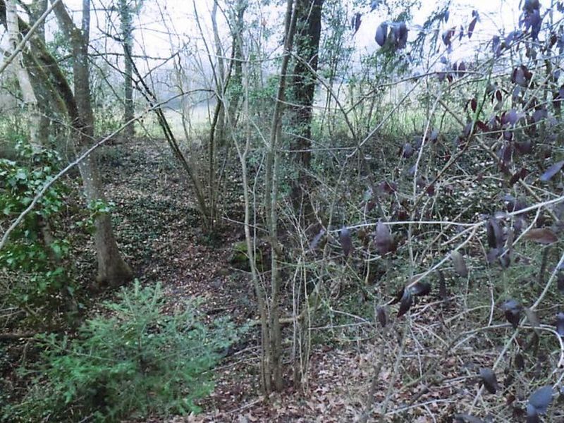 Freizeitflächengrundstück in Sachsenheim - Bild 1