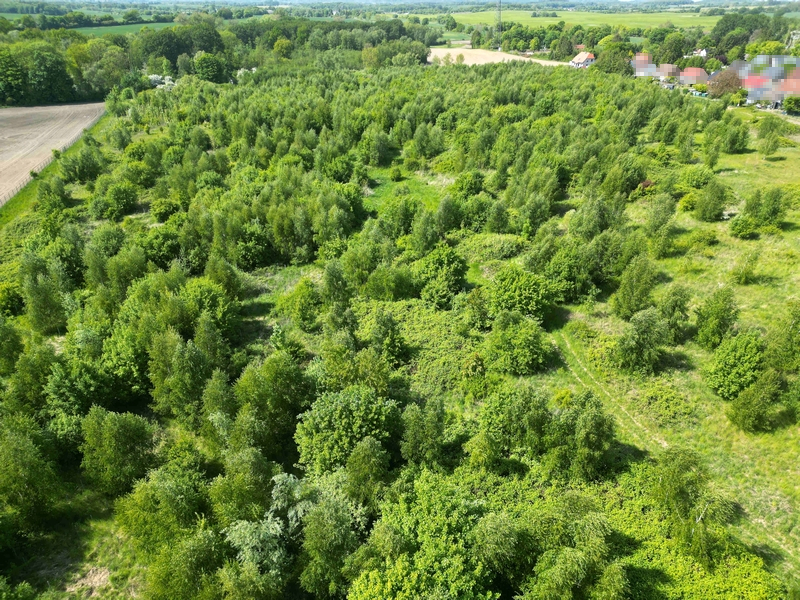 Bauerwartungsland in Bobitz - Bild 1