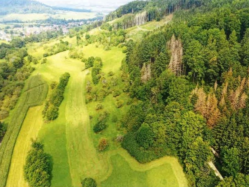 Landwirtschaftsflächen in Waldstetten - Bild 2