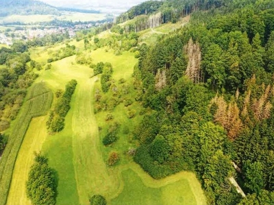 Landwirtschaftsflächen in , 73529 Schwäbisch Gmünd - Weiler - Bild 2