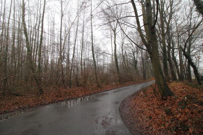 land- und forstwirtschaftlich genutztes Grundstück, unbebautes Grundstück in Alter Postweg, 48155 Münster, Wolbeck-Kspl- - Bild 1