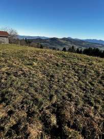 Waldfläche, Landwirtschaftsfläche in Nähe Hochöd, 83454 Anger - Bild 2