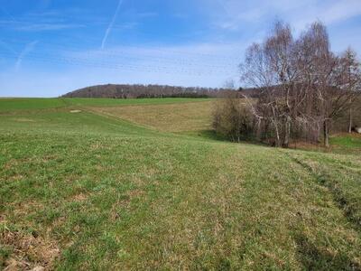 land- und forstwirtschaftlich genutztes Grundstück in Unter dem Graben, 35239 Steffenberg, Niedereisenhausen - Bild 1