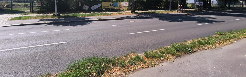 unbebautes Grundstück in Berlin - Bild 2