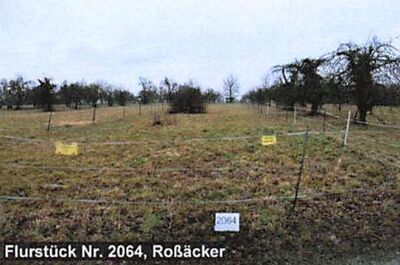 (Landwirtschaftsfläche in , 71334 Waiblingen-Beinstein - Bild 1