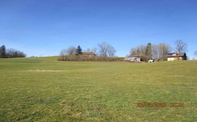 land- und forstwirtschaftlich genutztes Grundstück in Maierhöfen - Bild 3