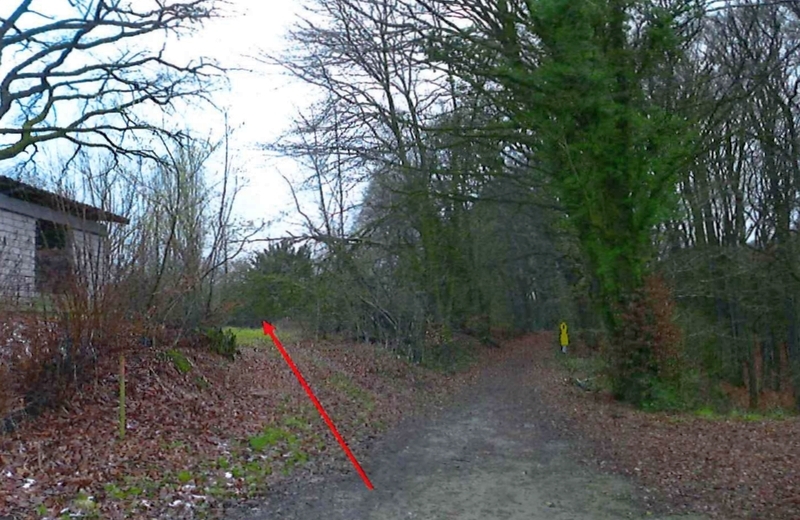 Landwirtschaftsfläche (Grünland) in Escheburg - Bild 3