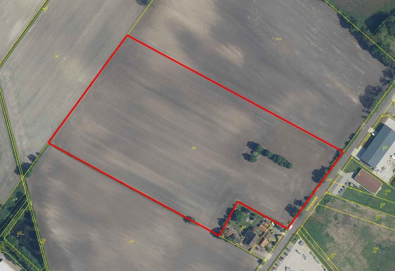 land- und forstwirtschaftlich genutztes Grundstück in Barßel - Bild 1