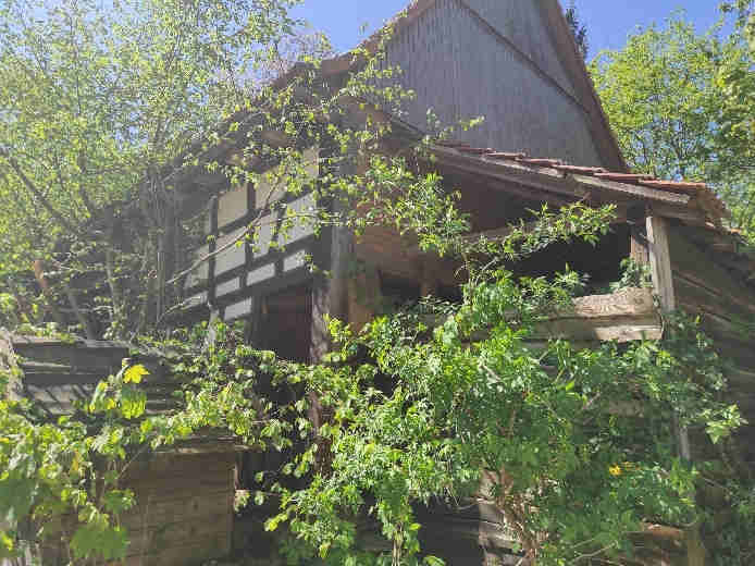 Sonstiges in Lindenfels - Bild 1