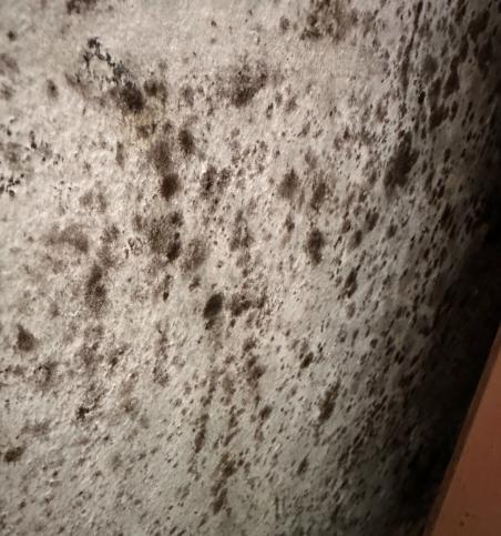 Eigentumswohnung (3 bis 4 Zimmer) in Emden - Bild 2