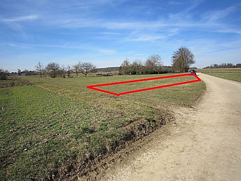 Landwirtschaftsfläche in Wolfschlugen - Bild 1