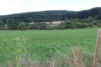 land- und forstwirtschaftlich genutztes Grundstück in Auf dem Kesselsberg, 53343 Wachtberg, Züllighoven - Bild 1