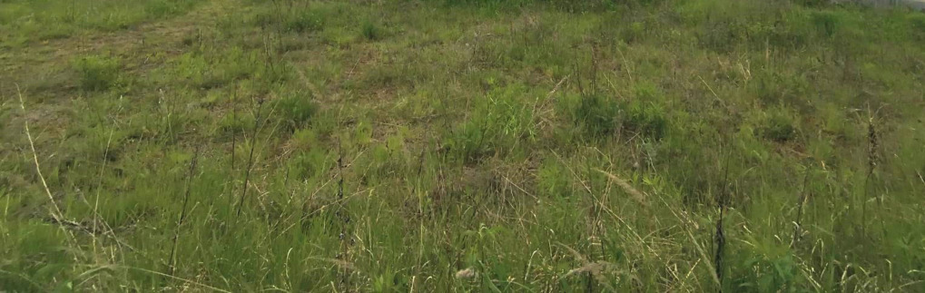 unbebautes Grundstück in Berlin - Bild 3