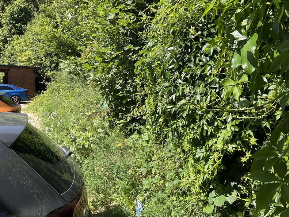 unbebautes Grundstück in Jena - Bild 4