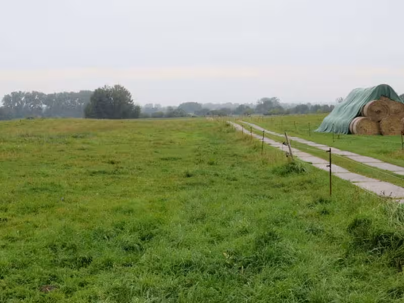 Landwirtschaftsfläche in Dahmen - Bild 4