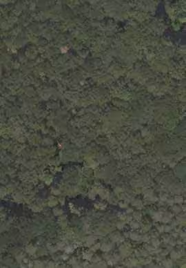 unbebautes Grundstück, land- und forstwirtschaftlich genutztes Grundstück in Köhlersberg,Bühltalgraben, Schmalbach, Heften,Geige, 97783 Karsbach - Bild 1