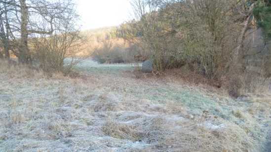 land- und forstwirtschaftlich genutztes Grundstück in Ludwigsau - Bild 4