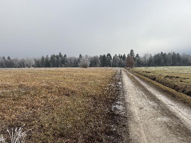 Hofstelle mit landwirtschaftlichen Flächen in Staudach-Egerndach - Bild 4