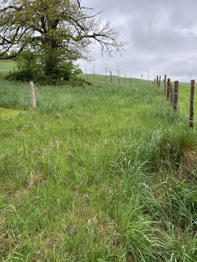 land- und forstwirtschaftlich genutztes Grundstück, Sonstiges in Urspring - Bild 3
