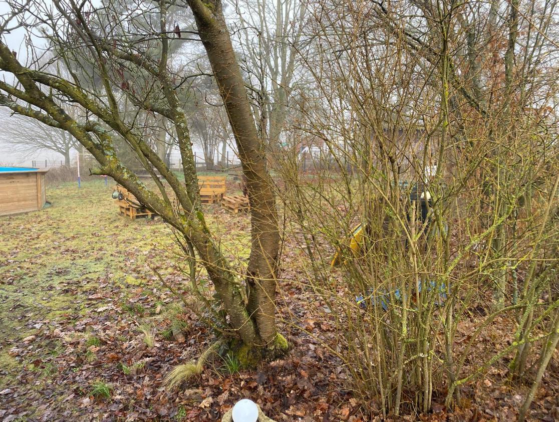 Mehrfamilienhaus in Breitengüßbach - Bild 3