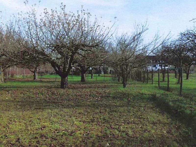 Kleingarten/Streuobstwiese in Vaihingen an der Enz - Bild 2