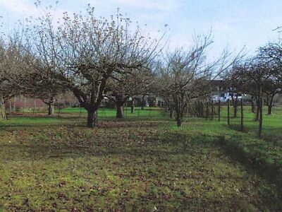 Kleingarten/Streuobstwiese in , 71665 Horrheim - Bild 2