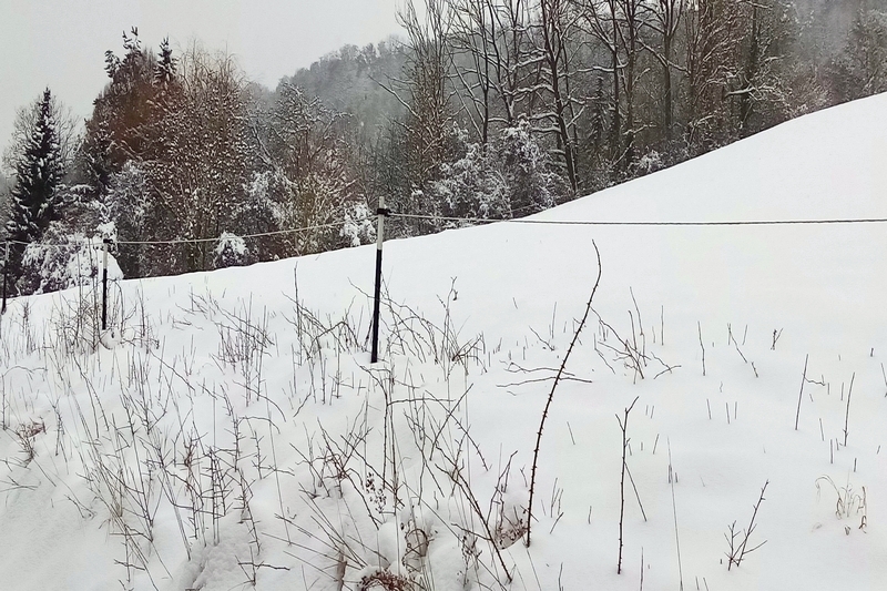 Landwirtschafts-/Waldfläche in Künzelsau - Bild 3
