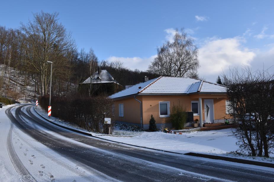 Einfamilienhaus in Zwickau - Bild 1