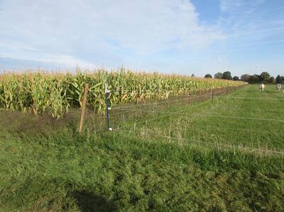 land- und forstwirtschaftlich genutztes Grundstück, ein unbebautes, landwirtschaftliches Ackergrundstück in Auf dem Hahn, 52525 ;Heinsberg;Waldfeucht, Waldenrath - Bild 1