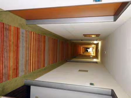 Sonstiges in Dresden - Bild 3