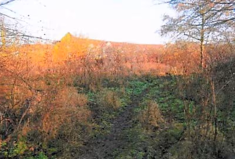 Verkehrs-/Grün-/Pkw-Parkflächen (tlw. baureifes Land) in Stralsund - Bild 3