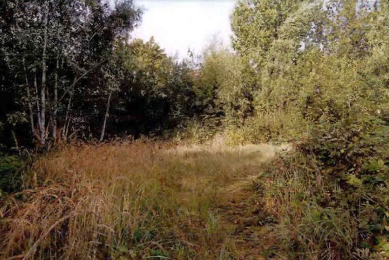 Bauland (unbebaut, jedoch Wohnhausreste vorhanden) in Greifswald - Bild 2