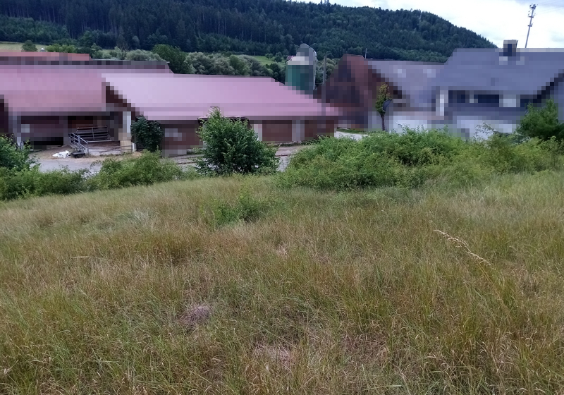 Baureifes Land in Fichtenberg - Bild 3