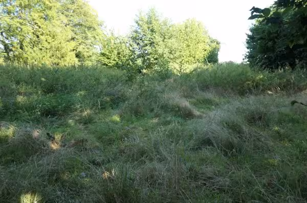 Einfamilienhaus, unbebautes Grundstück, unbebautes Grundstück, Einfamilienhaus in Greven - Bild 19