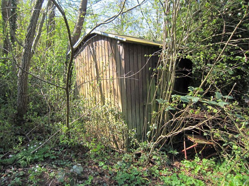 Ungepflegte Baumwiesen in Kohlberg - Bild 4