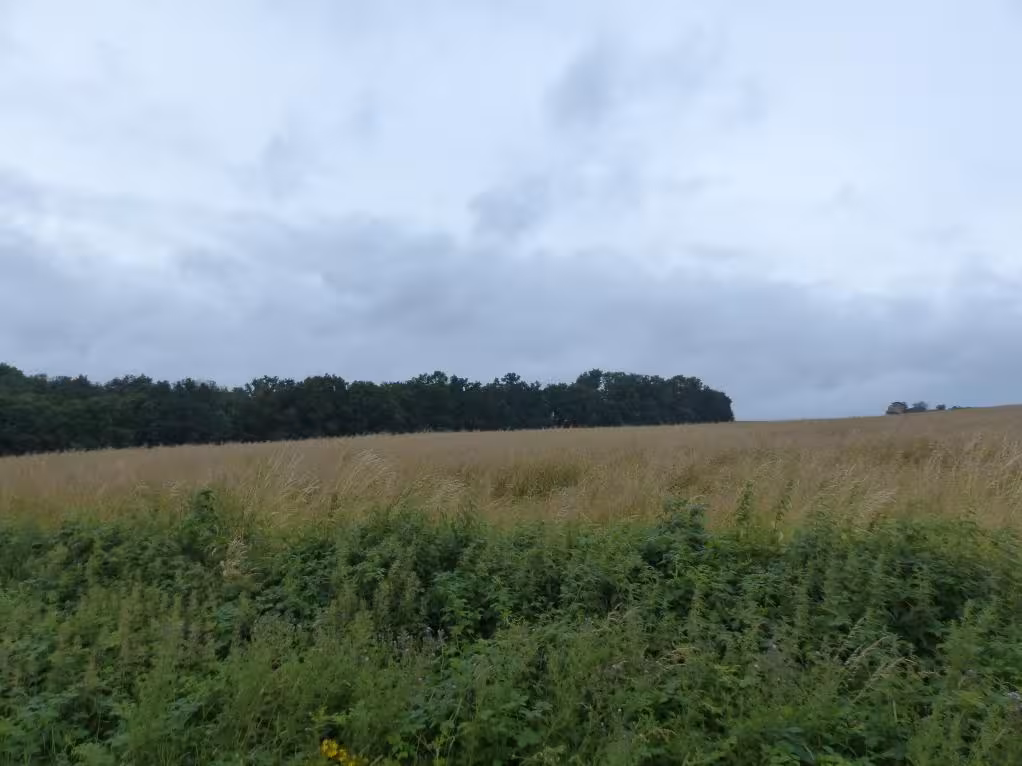 unbebautes Grundstück in Berka - Bild 2