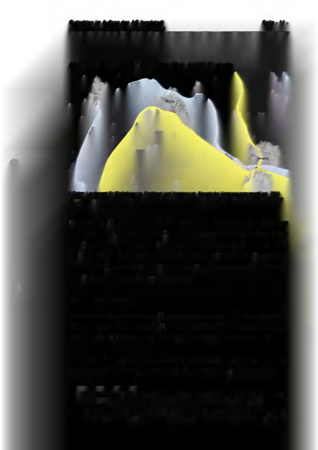 land- und forstwirtschaftlich genutztes Grundstück in Pfalzpaint - Bild 2