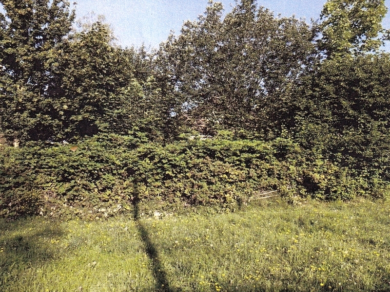 Grundstücke in Rudersberg - Bild 1