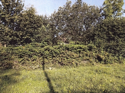Grundstücke in Königsbronnhof, Gärten, 73635 Rudersberg - Bild 1