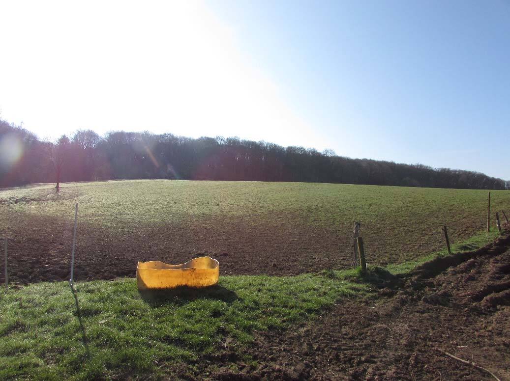land- und forstwirtschaftlich genutztes Grundstück in Wachtberg - Bild 2