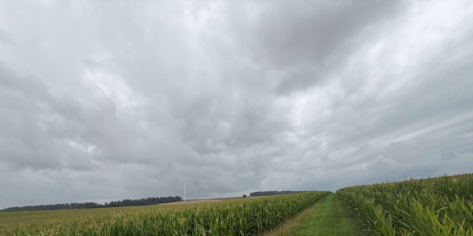 land- und forstwirtschaftlich genutztes Grundstück in Dietfurt an der Altmühl - Bild 4