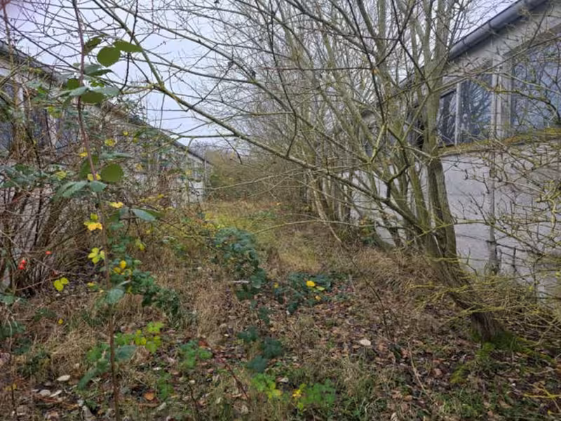 Ehemalige Rindermastanlage in Schönberg - Bild 3