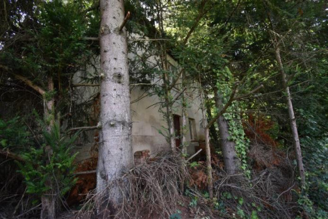 Einfamilienhaus, Sonstiges in Burgthann - Bild 4
