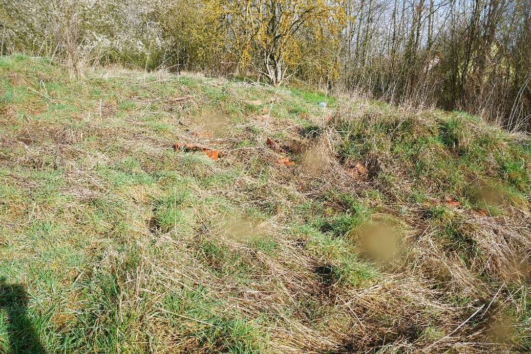 unbebautes Grundstück in Nordhausen - Bild 3