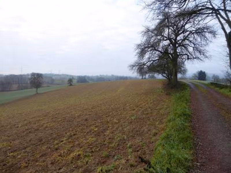 Ackerlandgrundstücke in Wiesloch - Bild 1