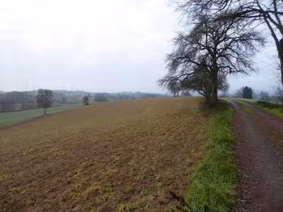 Ackerlandgrundstücke in Am Meckesheimer Weg, 69168 Wiesloch - Schatthausen - Bild 1