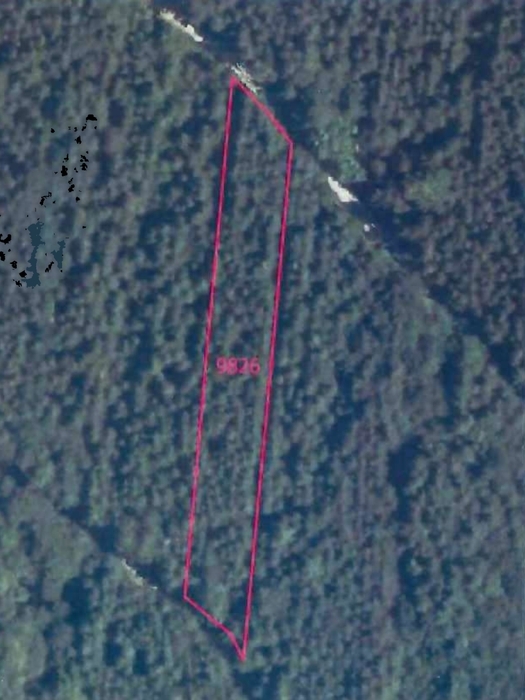 Waldfläche in Bondorf - Bild 1